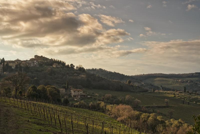 La Pensione Di Vignamaggio Panzano in Chianti Екстериор снимка